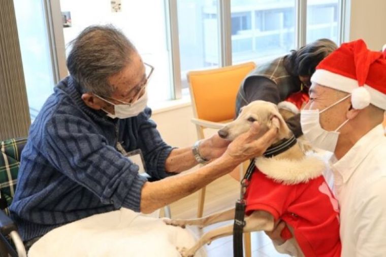 ドックセラピー